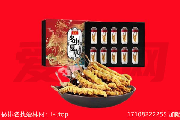 齐齐哈尔克东县回收虫草.jpg